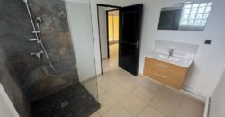 À vendre charmant appartement duplex entièrement rénové T3 situé proche du centre-ville du Tampon
