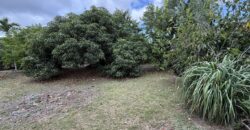 À vendre un terrain plat et arboré de 476 m2 situé au fond d’une impasse calme à La Ravine des Cabris