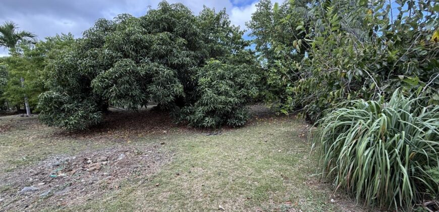 À vendre un terrain plat et arboré de 476 m2 situé au fond d’une impasse calme à La Ravine des Cabris