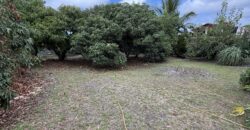 À vendre un terrain plat et arboré de 476 m2 situé au fond d’une impasse calme à La Ravine des Cabris