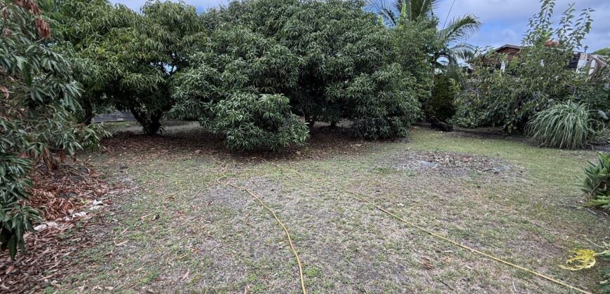 À vendre un terrain plat et arboré de 476 m2 situé au fond d’une impasse calme à La Ravine des Cabris