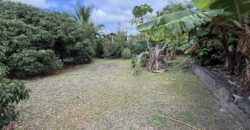 À vendre un terrain plat et arboré de 476 m2 situé au fond d’une impasse calme à La Ravine des Cabris