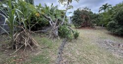 À vendre un terrain plat et arboré de 476 m2 situé au fond d’une impasse calme à La Ravine des Cabris