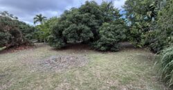 À vendre un terrain plat et arboré de 476 m2 situé au fond d’une impasse calme à La Ravine des Cabris