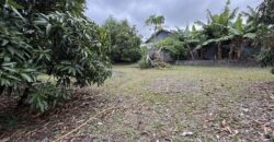 À vendre un terrain plat et arboré de 476 m2 situé au fond d’une impasse calme à La Ravine des Cabris