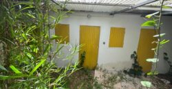 En vente maison créole T3/T4 à rénover avec local commercial à La Montagne