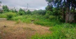 À vendre un terrain constructible de 500m2 à La Saline les Hauts