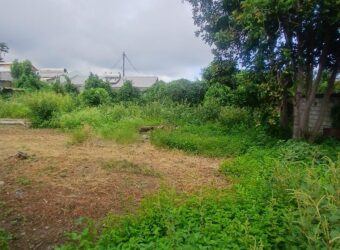 À vendre un terrain constructible de 500m2 à La Saline les Hauts