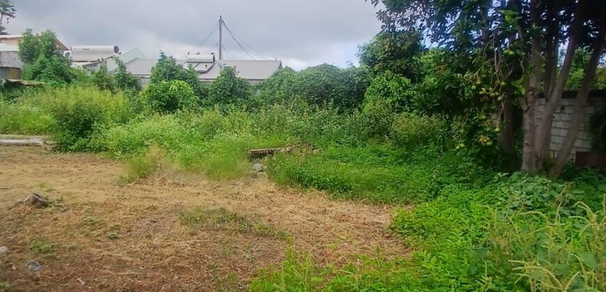 À vendre un terrain constructible de 500m2 à La Saline les Hauts