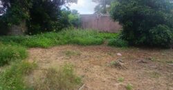 À vendre un terrain constructible de 500m2 à La Saline les Hauts