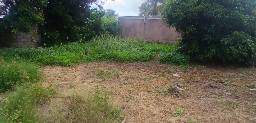 À vendre un terrain constructible de 500m2 à La Saline les Hauts