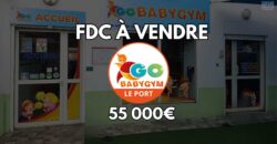 À vendre fonds de commerce GoBabyGym au Port, activité d’éveil pour enfants
