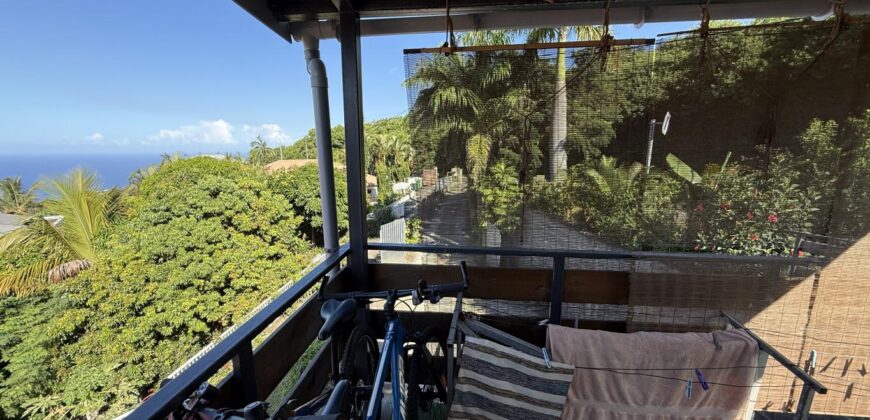 À vendre appartement T3 de 60.90 m2 avec vue mer et montagne situé aux Avirons Réunion