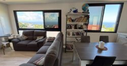 À vendre appartement T3 de 60.90 m2 avec vue mer et montagne situé aux Avirons Réunion