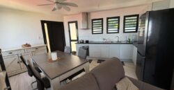 À vendre appartement T3 de 60.90 m2 avec vue mer et montagne situé aux Avirons Réunion