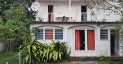 À vendre ensemble immobilier avec fort potentiel locatif et possibilité d’extension à Saint-André Réunion