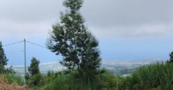 À vendre un terrain viabilisé de 400 m² à Tan Rouge, Saint-Gilles-les-Hauts-Réunion