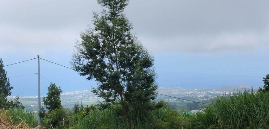 À vendre un terrain viabilisé de 400 m² à Tan Rouge, Saint-Gilles-les-Hauts-Réunion