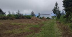 À vendre un terrain viabilisé de 400 m² à Tan Rouge, Saint-Gilles-les-Hauts-Réunion