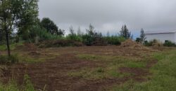 À vendre un terrain viabilisé de 400 m² à Tan Rouge, Saint-Gilles-les-Hauts-Réunion