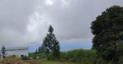 À vendre un terrain viabilisé de 400 m² à Tan Rouge, Saint-Gilles-les-Hauts-Réunion