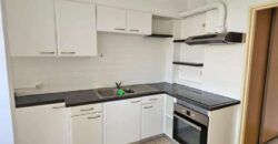 À vendre un appartement T3/T4 avec vue mer et montagne à Saint-Denis, Carré d’Or, Réunion