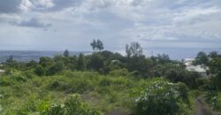 À vendre un terrain plat avec vue mer situé à La Possession Ravine à Malheur Réunion