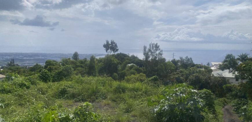À vendre un terrain plat avec vue mer situé à La Possession Ravine à Malheur Réunion