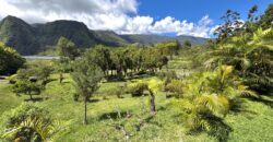 En vente une villa d’exception avec vue panoramique sur un terrain de 3100m2 à la Plaine des Palmistes Réunion