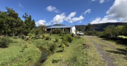 En vente une villa d’exception avec vue panoramique sur un terrain de 3100m2 à la Plaine des Palmistes Réunion