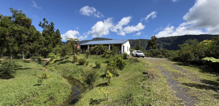 En vente une villa d’exception avec vue panoramique sur un terrain de 3100m2 à la Plaine des Palmistes Réunion