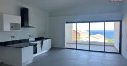 À louer un lumineux appartement F2 proche plages et commerces à Petit île Réunion