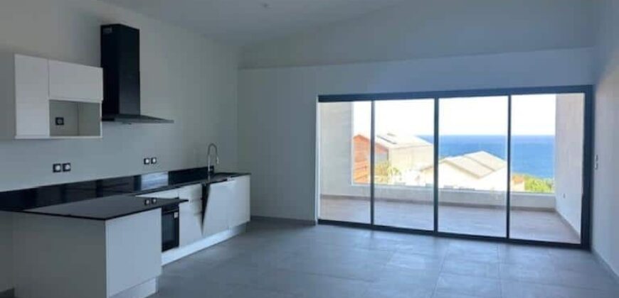 À louer un lumineux appartement F2 proche plages et commerces à Petit île Réunion