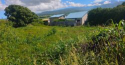 À vendre un terrain constructible de 501m2 offrant vue montagne à La Rivière Saint Louis Réunion