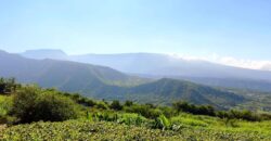 En vente une charmante maison F4 de 170 m² avec vue mer et montagne dans un cadre paisible à Bel Air, Saint-Joseph Réunion