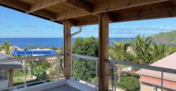 À louer charmant appartement F3 de 87.68 m2 avec vue mer situé à Manapany les Bains Réunion