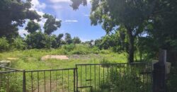 En vente un terrain de 330 m² entièrement constructible situé à Sainte-Suzanne Réunion