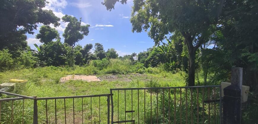 En vente un terrain de 330 m² entièrement constructible situé à Sainte-Suzanne Réunion