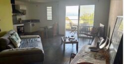 En vente un appartement T3 avec varangue proche de la plage et commerces à Saint Leu Réunion