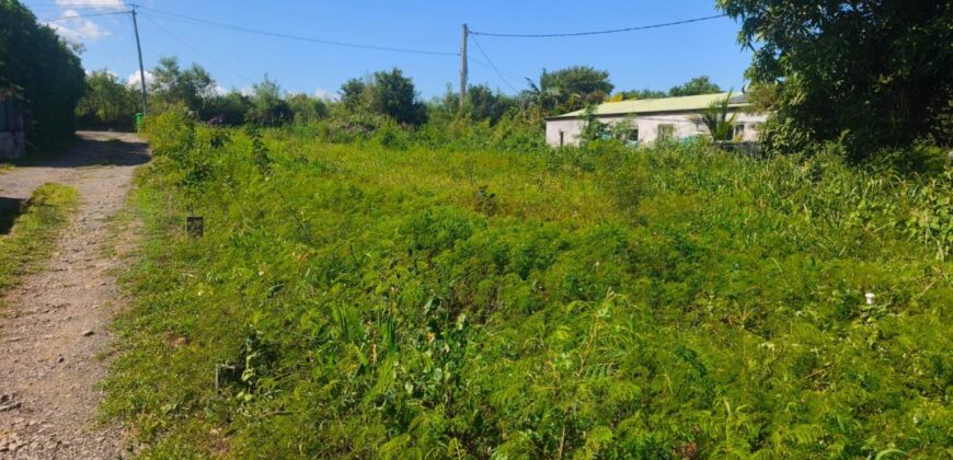 À vendre un terrain constructible de 501m2 offrant vue montagne à La Rivière Saint Louis Réunion
