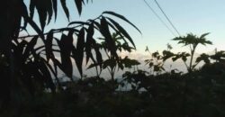 À vendre terrain constructible de 721 m2 situé au Tampon Réunion
