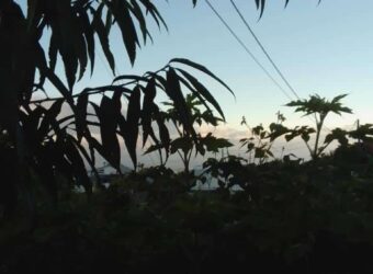 À vendre terrain constructible de 721 m2 situé au Tampon Réunion