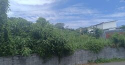 À vendre un terrain plat et borné de 444 m2 situé Chemin Petit Frère à Ravine des Cabris Réunion