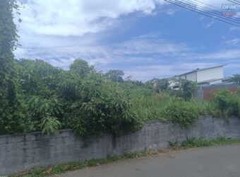 À vendre un terrain plat et borné de 444 m2 situé Chemin Petit Frère à Ravine des Cabris Réunion