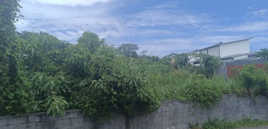 À vendre un terrain plat et borné de 444 m2 situé Chemin Petit Frère à Ravine des Cabris Réunion