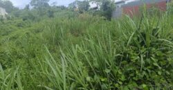 À vendre un terrain plat et borné de 444 m2 situé Chemin Petit Frère à Ravine des Cabris Réunion
