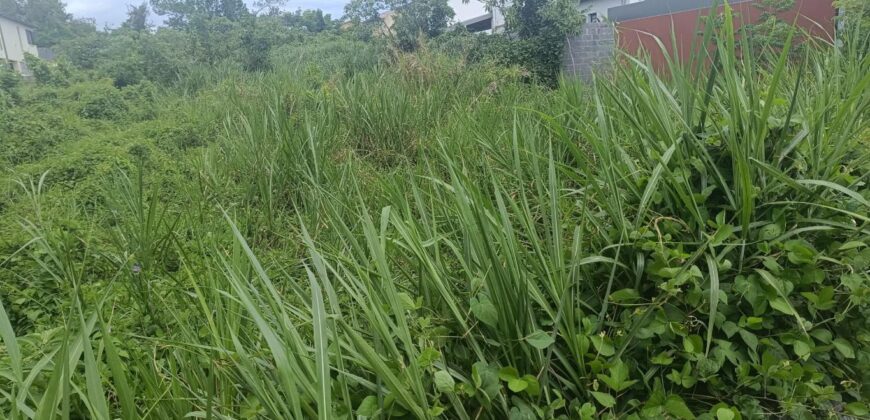 À vendre un terrain plat et borné de 444 m2 situé Chemin Petit Frère à Ravine des Cabris Réunion