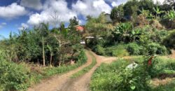 À louer une maison meublée de 80.16m2 nichée dans une cadre verdoyant à La Rivière Saint Louis Réunion
