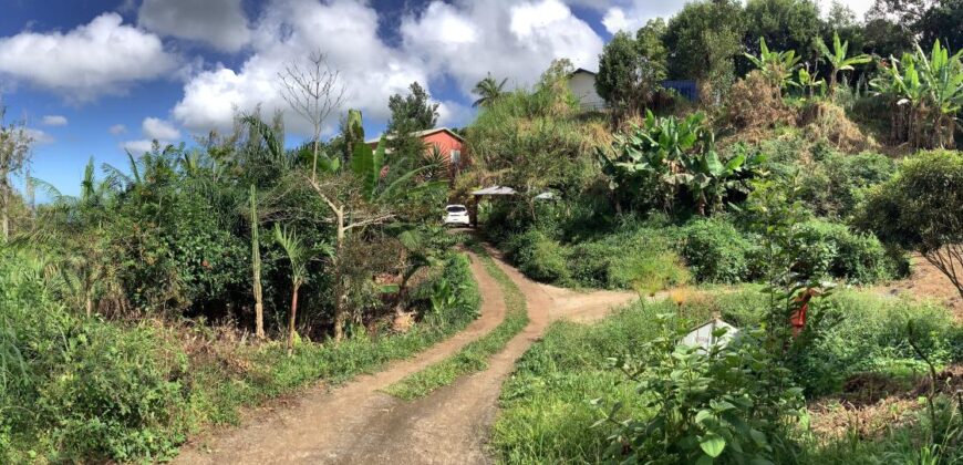 À louer une maison meublée de 80.16m2 nichée dans une cadre verdoyant à La Rivière Saint Louis Réunion