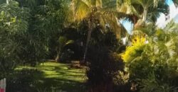 À vendre une spacieuse villa T5/6 en duplex avec petite vue mer située à Terre Sainte Réunion